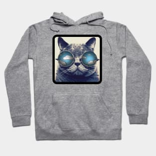 Cat with clouds in glasses Hoodie